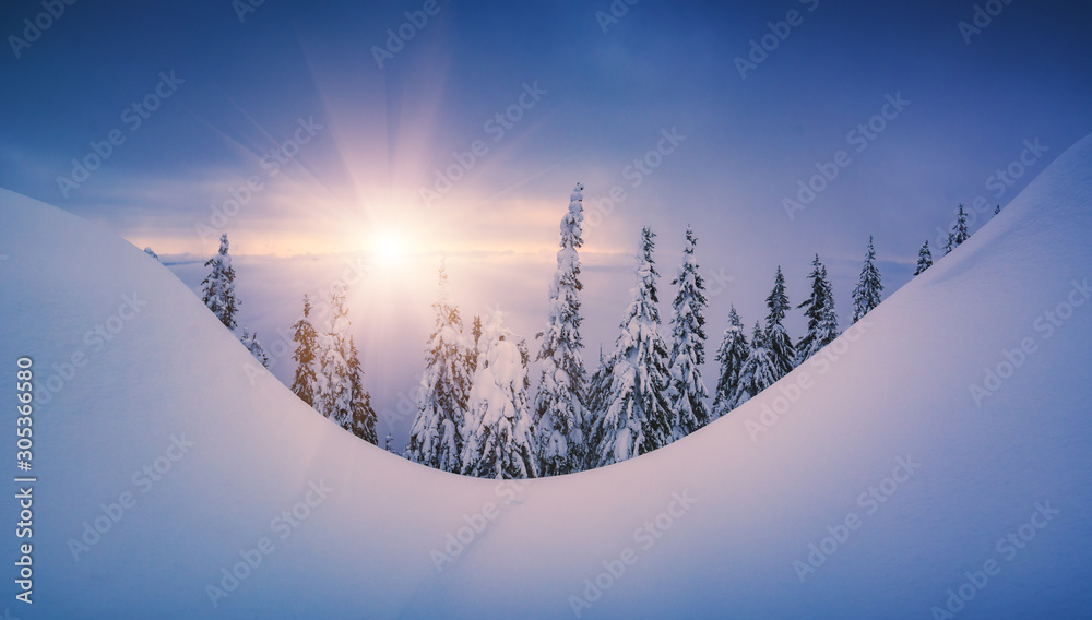 Minimalistic picture of carpathian winter valley - obrazy, fototapety, plakaty 