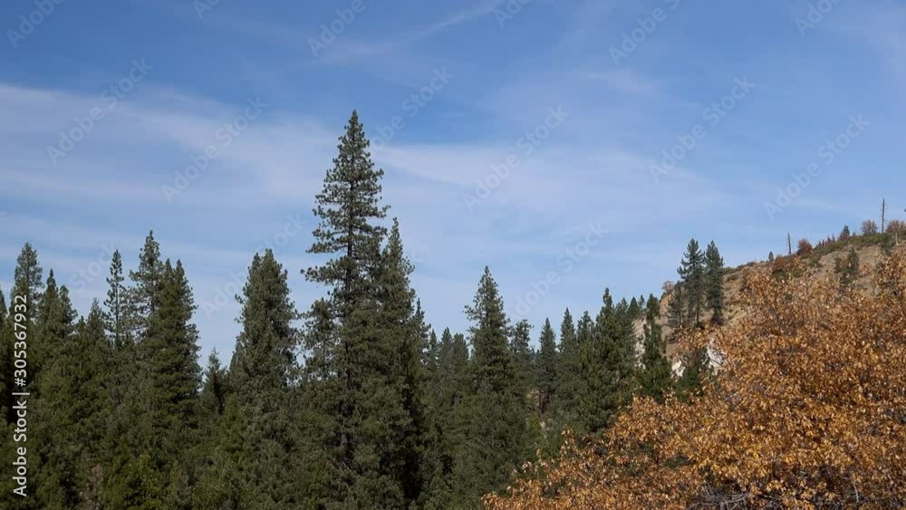 Zoom clip of an autumn scene of mountains, cirrus clouds and coniferous trees NW of Reno, NV Zoom clip of an autumn scene of mountains, cirrus clouds and coniferous trees NW of Reno, NV