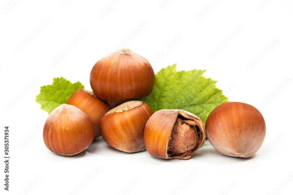 Hazelnut nut many leaves isolated on a white background as a packaging design element Hazelnut nut many leaves isolated on a white background as a packaging design element