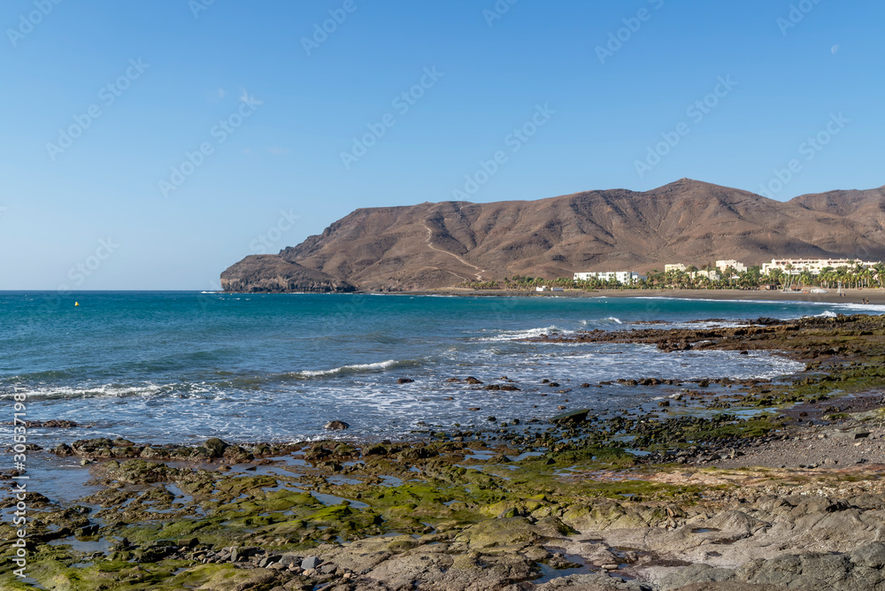 The beautiful Las Playitas beach in Fuerteventura, Canary Islands, Spain, with the moon in the blue sky