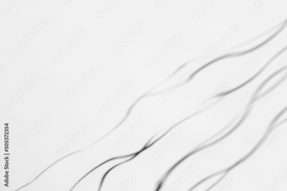 Organic drop diagonal shadow on a white wall, overlay effect for photo and mockups Organic drop diagonal shadow on a white wall, overlay effect for photo and mockups