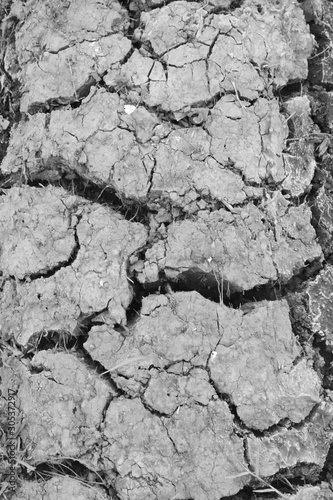 cracked earth texture