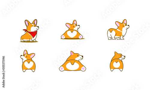 set of cute corgi dog logo icon design vector illustration © AlphaCute