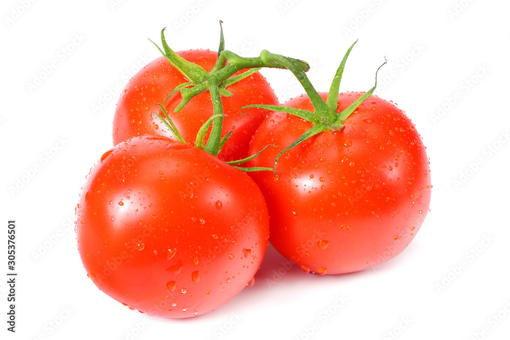 fresh tomatoes isolated on a white background fresh tomatoes isolated on a white background