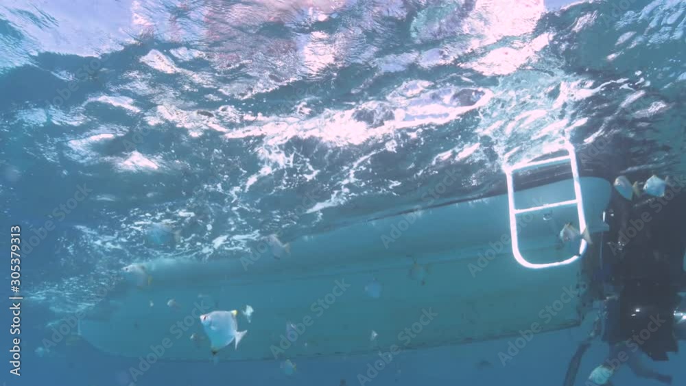 A scuba diver doing a back roll entrance off a dive boat while on holidays in the pacific ocean.
