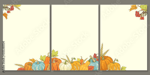Set of cards with autumn pumpkins, foliage and fruits. Vertical templates