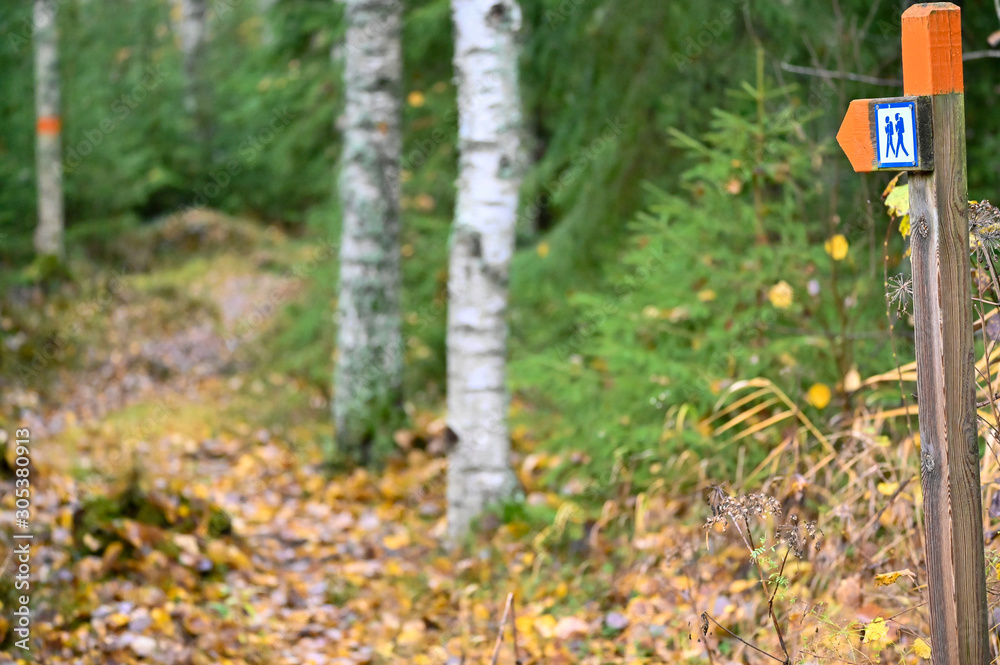 trail through forest in Sweden marked in orange trail through forest in Sweden marked in orange