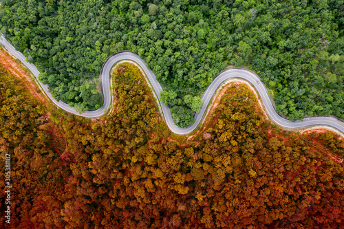 Winding road in the forest. Autumn, summertTop down aerial view.
