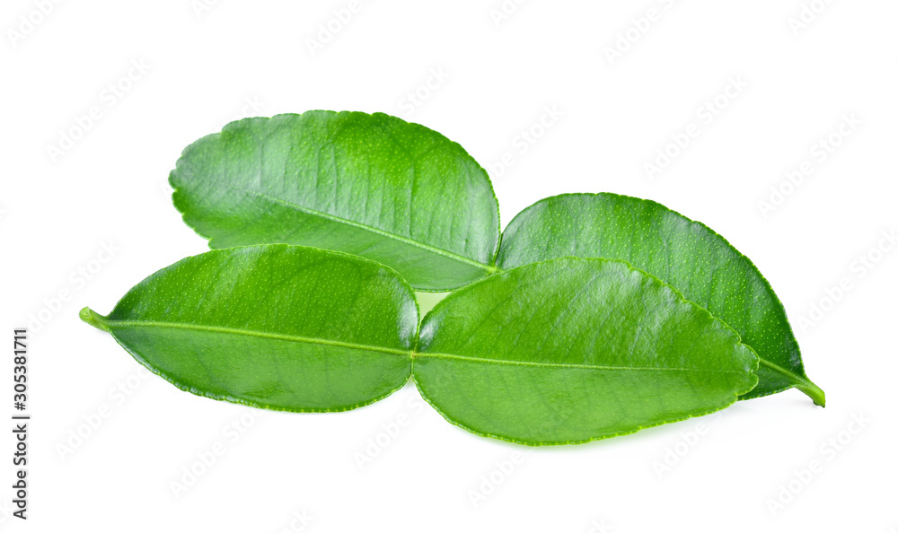 Obraz premium Kaffir lime leaf isolated on white background