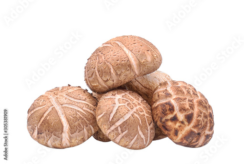 Shiitake Mushrooms on white background photo