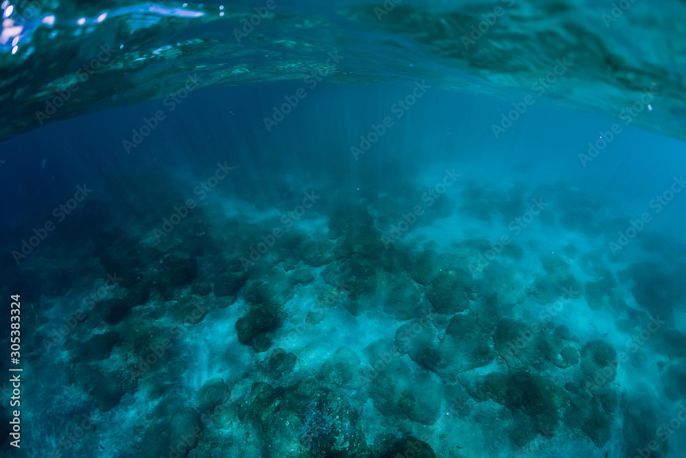 Tranquil underwater scene with corals. Blue sea