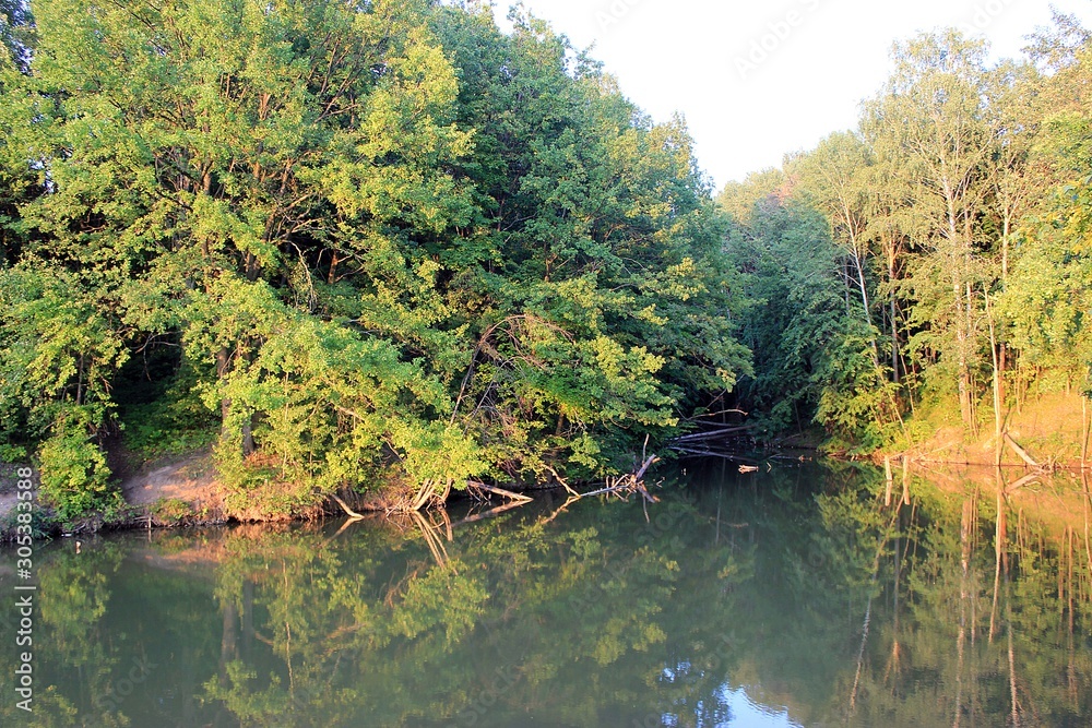 Lake in the forest