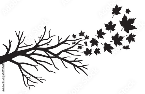 Wallpaper Mural branch with falling leaves vector Torontodigital.ca