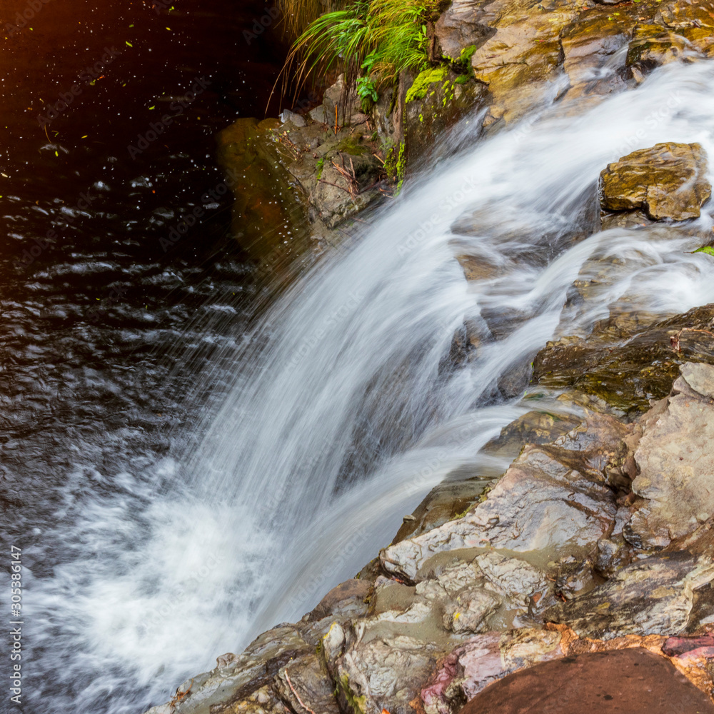 Obraz premium Waterfall in forest at Amboro national parc. Bolivia.