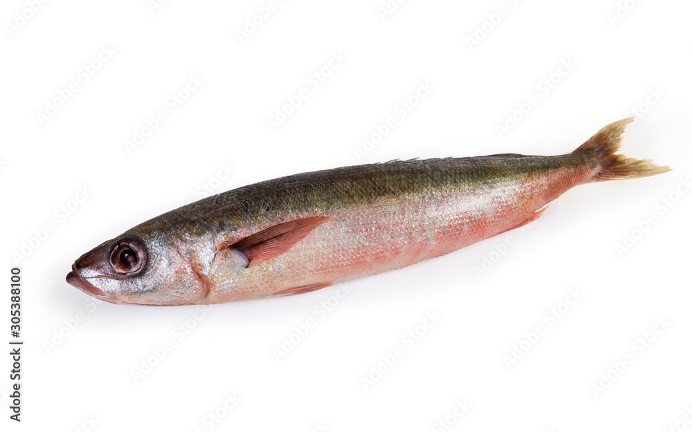 Carcass of uncooked Redbait fish on a white background Carcass of uncooked Redbait fish on a white background