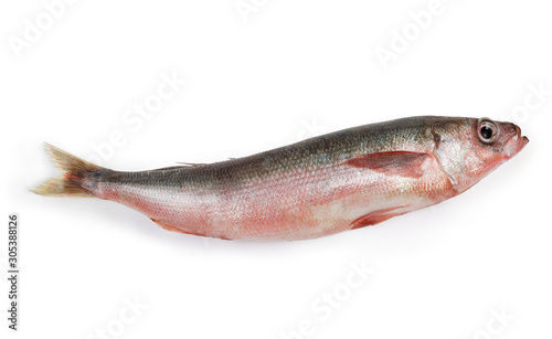 Carcass of uncooked Redbait fish on a white background