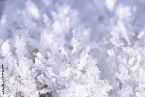Natural snowflakes snow crystals ice rime frost white Christmas background close up selective focus