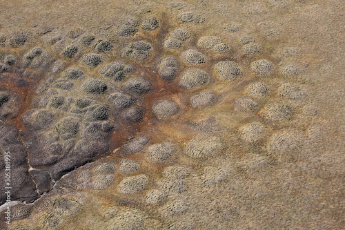 Tundra landscape in summer, Taymyr peninsula, aerial view