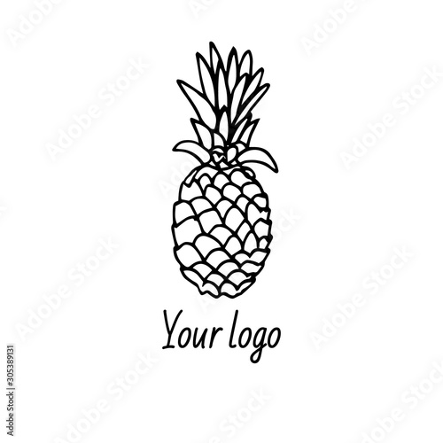 Fruit market or juice bar logo vector template. Hand drawn illustration in black ink on white background. Hand drawn pineapple in doodle style.  