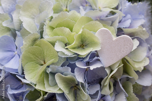 weißes Herz in hellblau grünen Blüten Valentin Muttertag Frühling