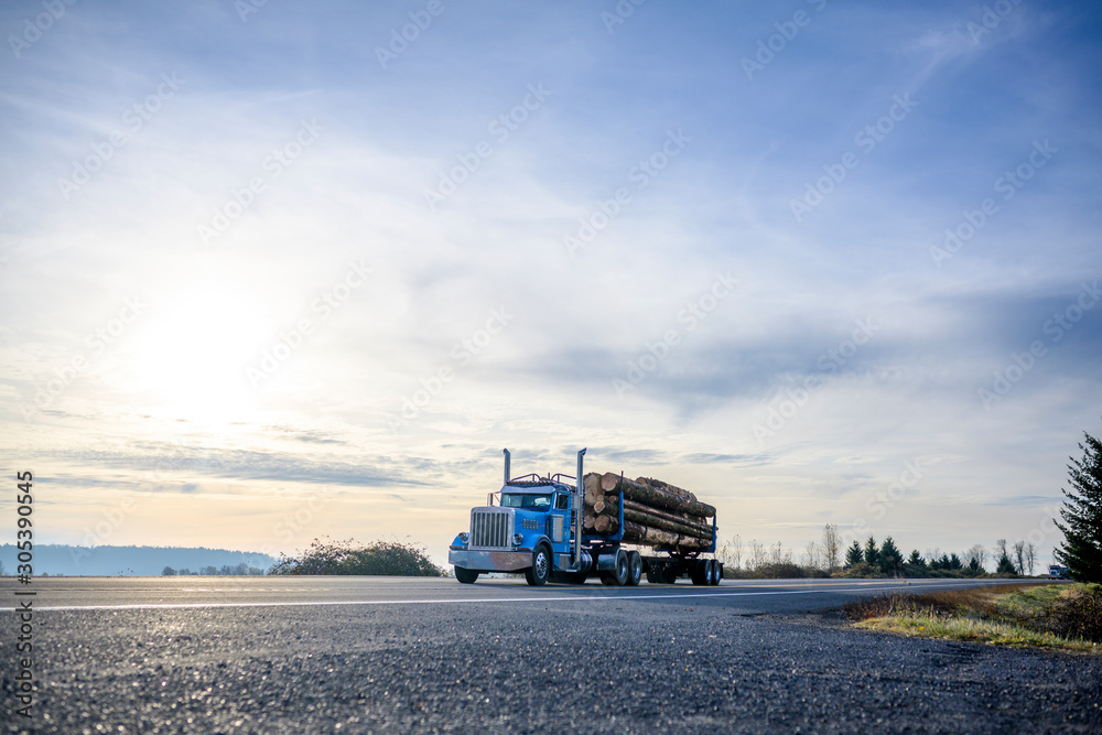 Blue powerful classic big rig semi truck transporting wood logs on the semi trailer running on the evening road Blue powerful classic big rig semi truck transporting wood logs on the semi trailer running on the evening road