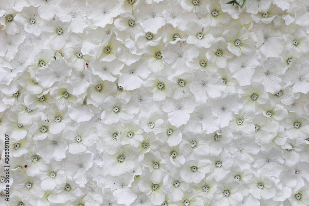 Flowers for wedding or background for wedding scene.