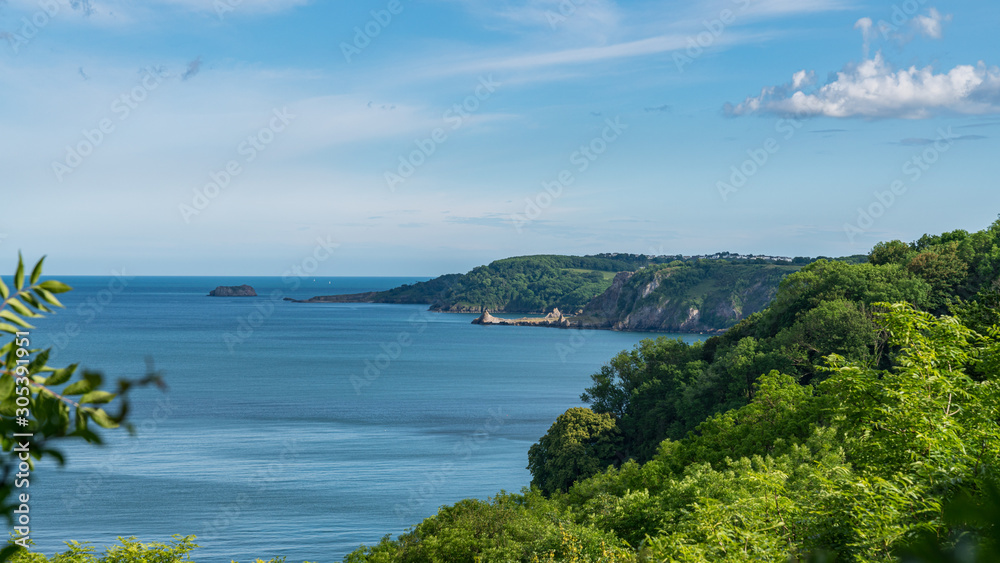 View towards Watcombe Beach and Babbacombe Bay, Torbay, England, UK