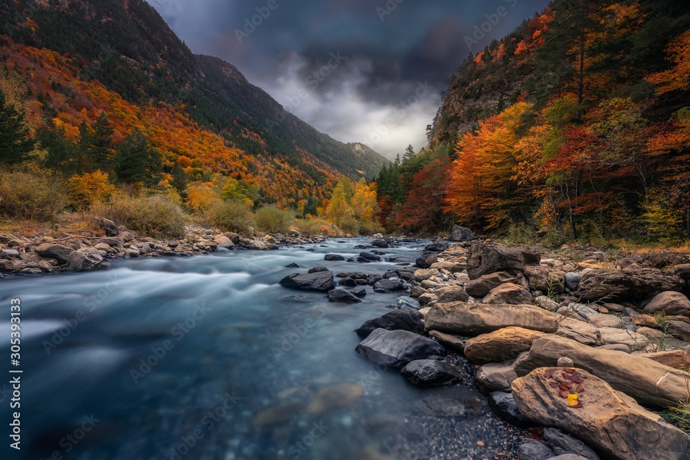 Breathtaking shot of a river in the forest with colorful trees under the cloudy sky in autumn - obrazy, fototapety, plakaty 
