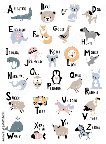 Fototapeta Naklejka Na Ścianę i Meble -  Animal alphabet for kids education. Childish vector poster for home decor.