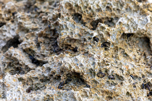 Close up of Volcanic Rock