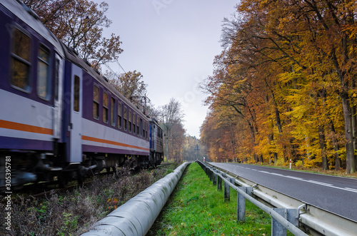 TWO WAYS - Railway track and asphalt road among the autumn beech forest