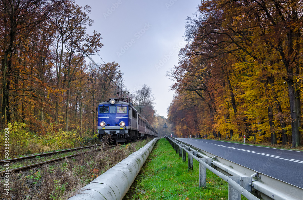 TWO WAYS - Railway track and asphalt road among the autumn beech forest