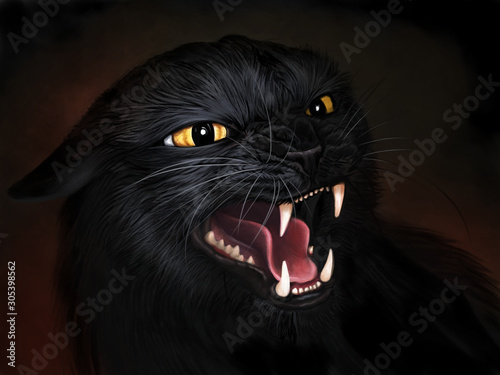 Angry black cat