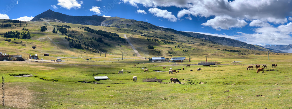 Beautiful summer relaxing landscape with cows and other animals among mountains in green and blue sky