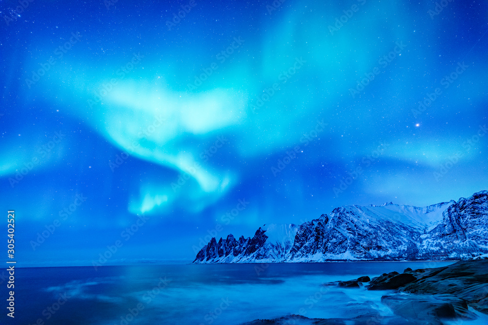 Vivid Northern lights during polar night on Lofoten Islands in Norway. Epic scene of dancing aurora borealis in the night sky over jagged mountain ridge and Arctic ocean on island Senja, polar circle.