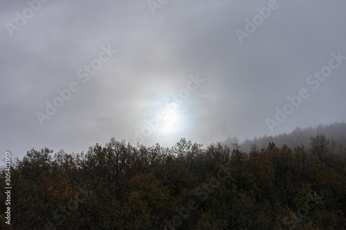 sun flash over the fog covering the forest