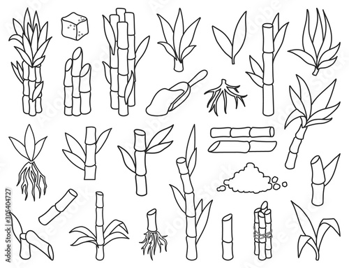 Sugar cane line vector illustration on white background.Sugarcane set icon.Vector illustration of sweet sugar.Set icon of sugarcane plantation.