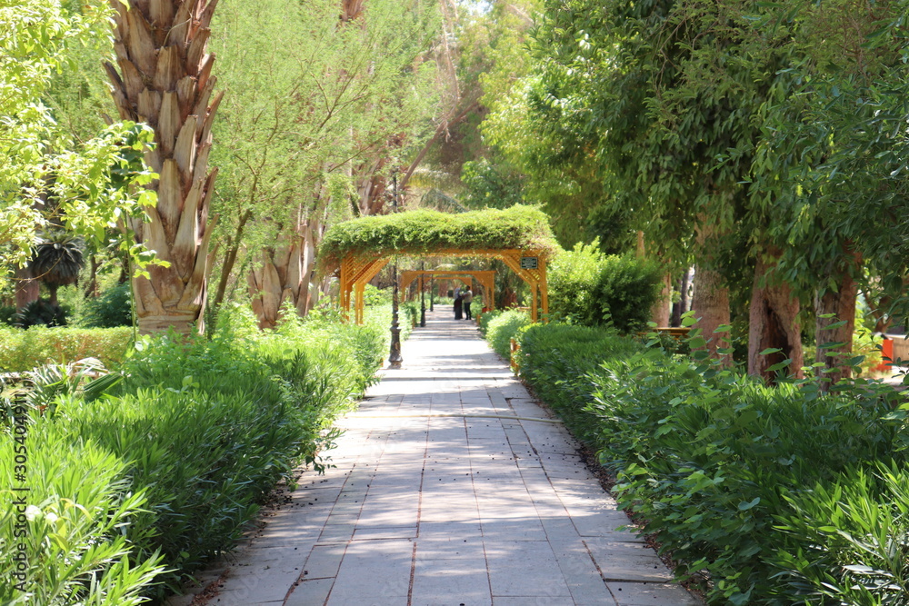 path in the park path in the park