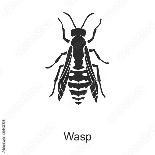Insect wasp vector icon.Black vector icon isolated on white background insect wasp.