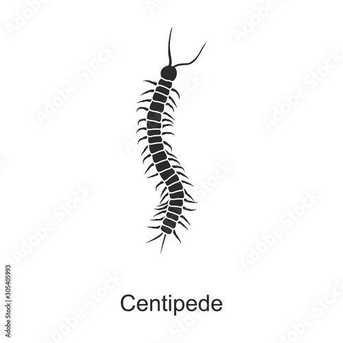 Canvas Print Insect centipede vector icon