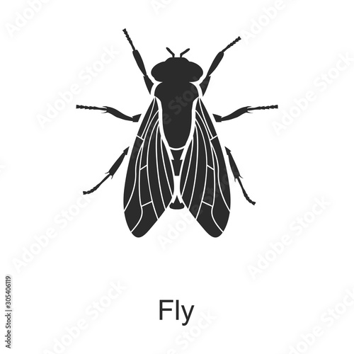 Leinwand Poster Insect fly vector icon