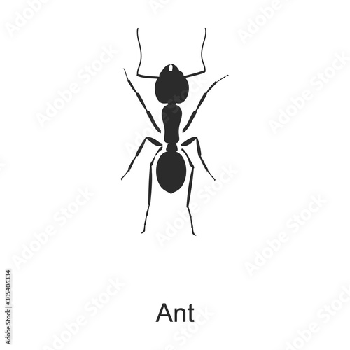 Insect ant vector icon.Black vector icon isolated on white background insect ant. © Svitlana