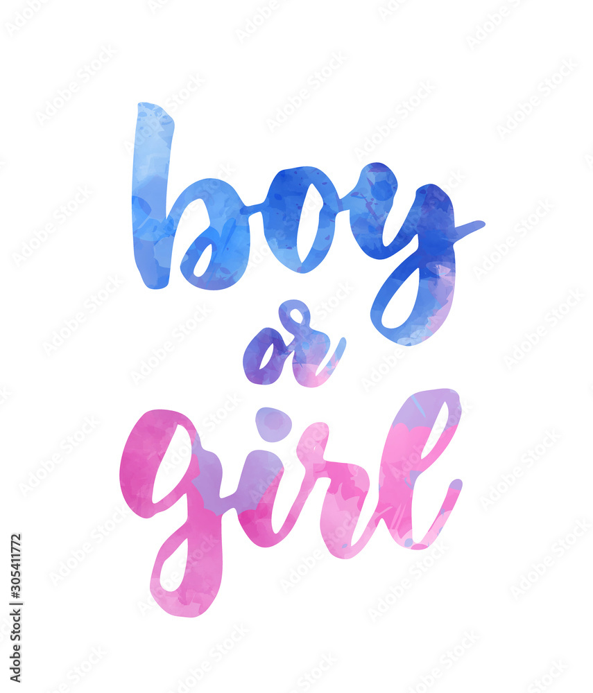 Boy or girl - gender reveal Stock Vector