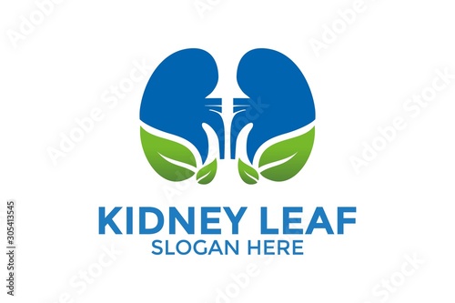 Kidney leaf logo, kidney care logo template
