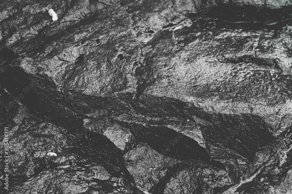 black and white close up of a rock 