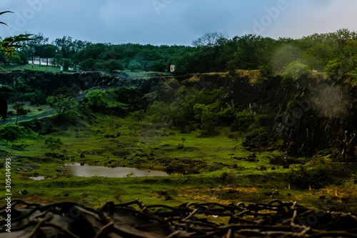 wide angle of forest with green foliage and a river