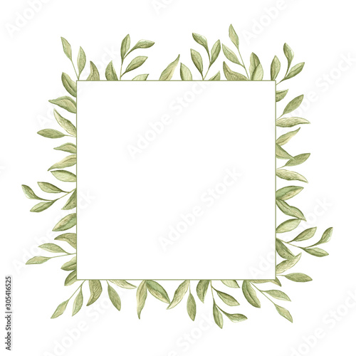 watercolor illustration square frame of green swamp branches with leaves on a white background. spring summer mood. space for text. cards, design, for wedding, greetings, wallpaper background.
