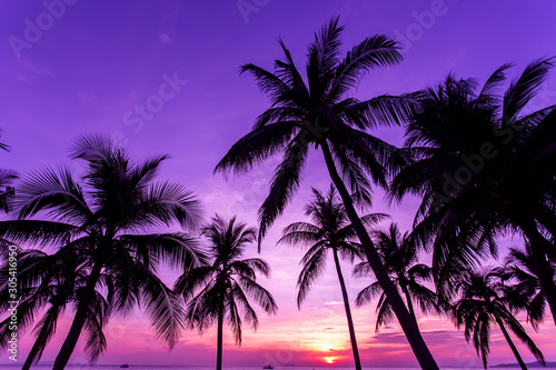 coconut tree at tropical coast, made with Vintage tones, and purple sky at the sunset ,warm tones © minicase