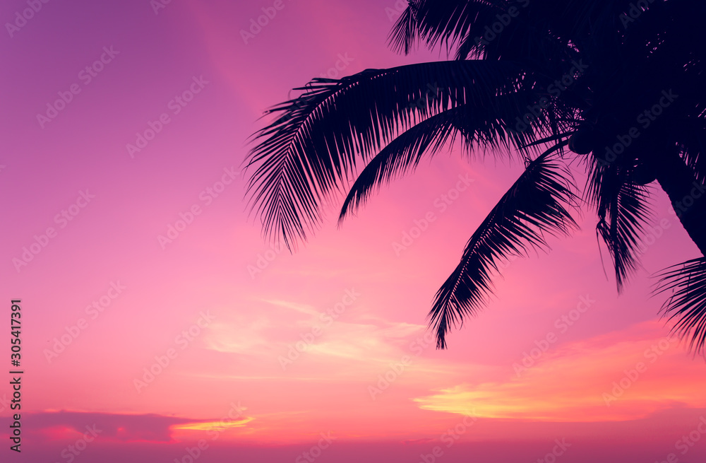 coconut tree at tropical coast, made with Vintage tones, and purple sky at the sunset ,warm tones