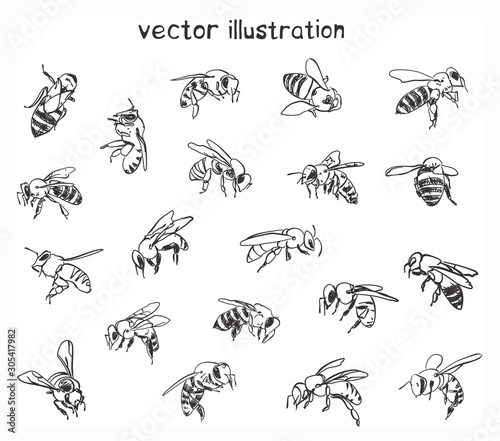Valokuva sketch of bees